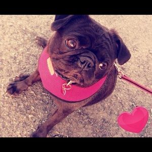 Meet your Posher, Lesley